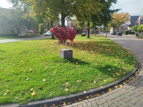 Confort Hengelo